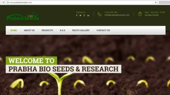 website development company in india