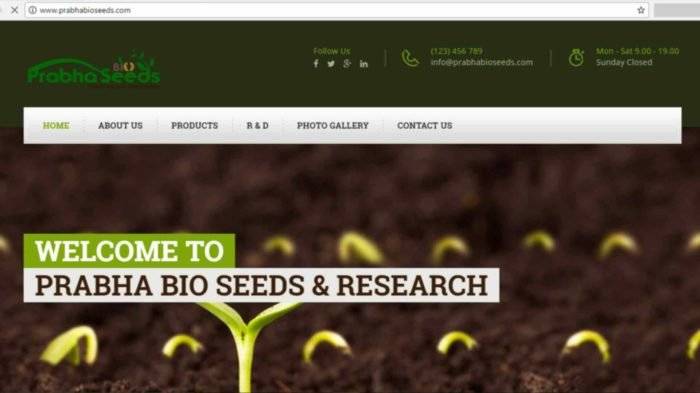 website development company in india