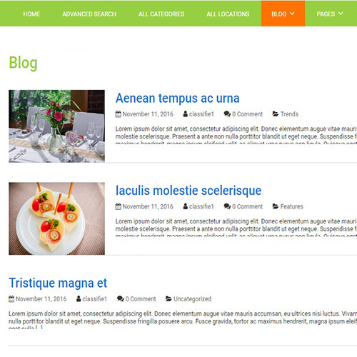 Classified Ads website | Classified Ads website development - MaMITs