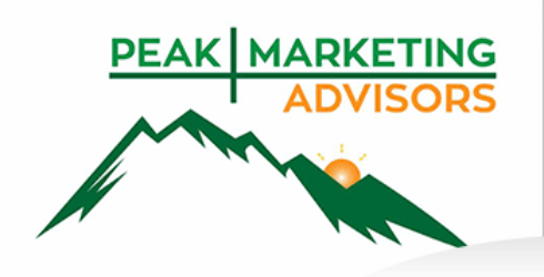 online logo designer