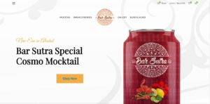 Ecommerce Website Development company in bhopal