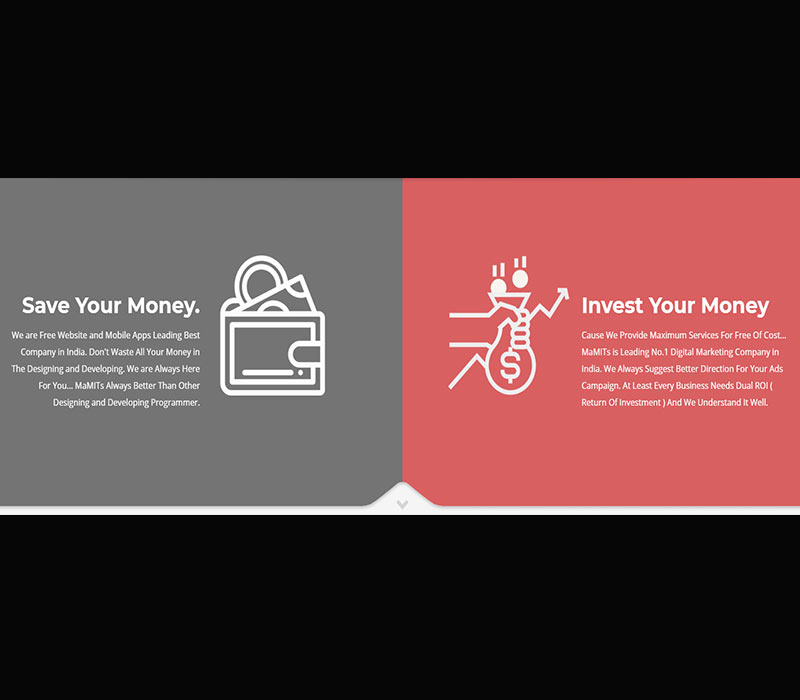 Website development company in bhopal, Madhya Pradesh - MaMITS 3 img3 MaMITs