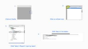 Marketplace Theme, Multi Vendor Ecommerce Theme Complete Guide - MaMITs