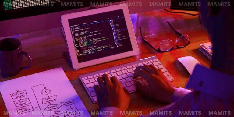 Mahmish Web Developer Web Developer in Bhopal -History, Scope, Job & More | MaMITs