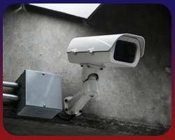 Wordpress website development company India MaMITs : Wordpress Website Development Company India Wordpress website development company India MaMITs : Wordpress Website Development Company India