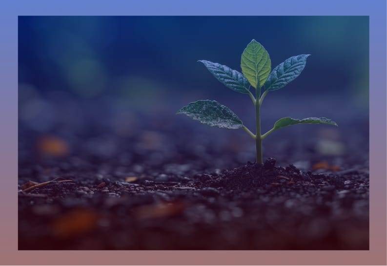 Top 10 Reasons to Select MaMITs for Internet Website Designers Near Bhopal, Indore