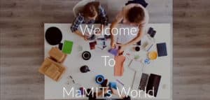 About Company India MaMITs