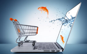 what is ecommerce?