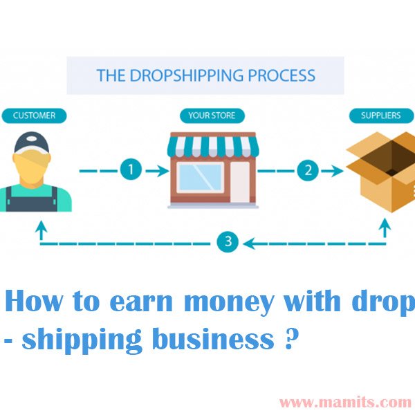 How to earn money with dropshipping business
